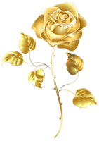 a gold rose